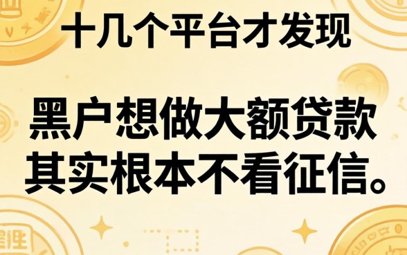 我试了十几个平台才发现，黑户想做大额贷款其实根本不看征信