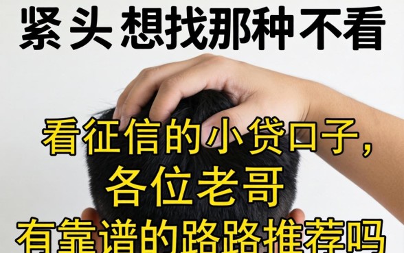 手头紧想找那种不看征信的小贷口子,各位老哥有靠谱的路子推荐吗?