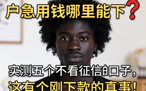黑户急用钱哪里能下?实测五个不看征信的口子,这有个刚下款的真事!