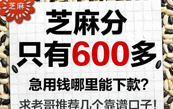 芝麻分只有600多,急用钱哪里能下款?求老哥推荐几个靠谱口子!