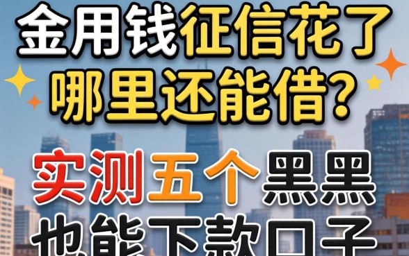 急用钱征信花了哪里还能借？实测五个黑户也能下款的口子分享