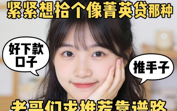 手头紧想找个像菁英贷那种好下款的口子，老哥们求推荐靠谱路子！