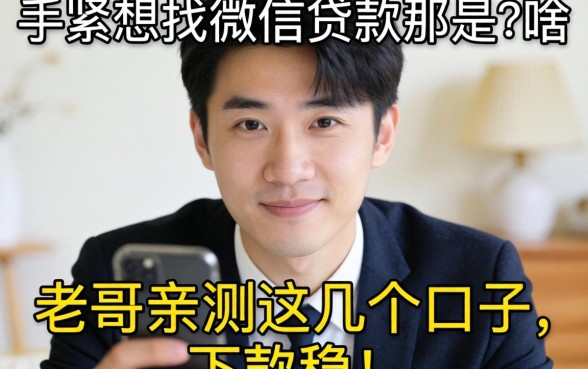 手头紧想找微信贷款那是啥？老哥亲测这几个口子，下款稳！