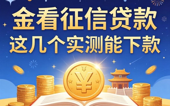 揭秘什么金融不看征信的贷款，这几个实测能下款