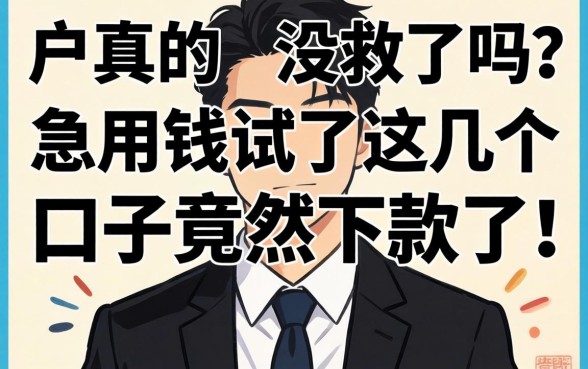 黑户真的没救了吗？急用钱试了这几个口子竟然下款了！