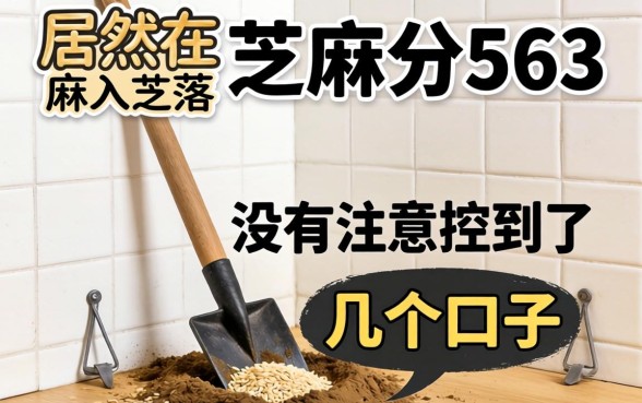 我芝麻分563，居然在没人注意的角落挖到了几个口子