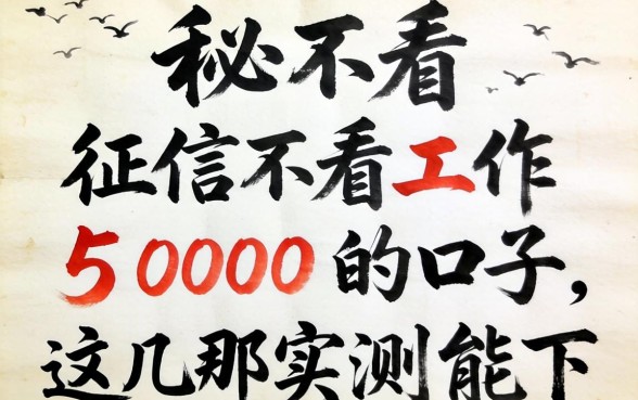 揭秘2026不看征信不看工作5000的口子，这几个实测能下