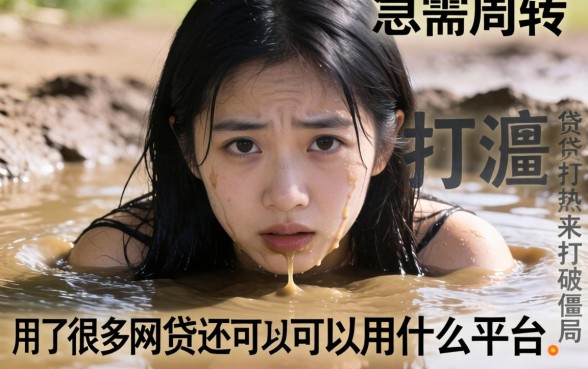 深陷网贷泥潭急需周转？用了很多网贷还可以用什么平台来打破僵局？