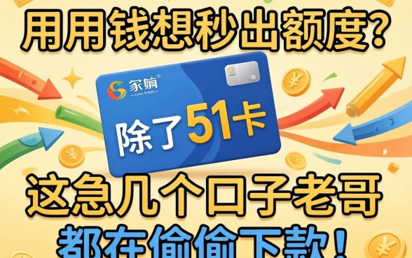 急用钱想秒出额度？除了51卡，这几个口子老哥都在偷偷下款！