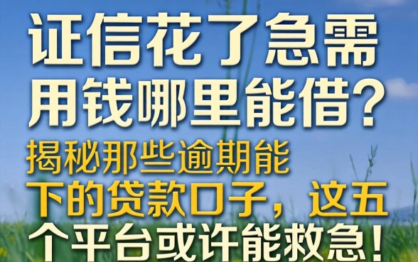 征信花了急需用钱哪里能借？揭秘那些逾期能下的贷款口子，这五个平台或许能救急！