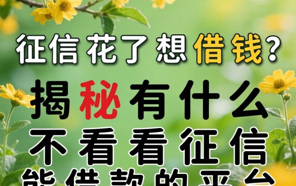 征信花了想借钱？揭秘有什么不看征信能借款的平台