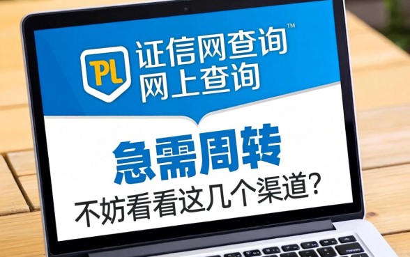征信网查询网上查询：急需周转不妨看看这几个渠道