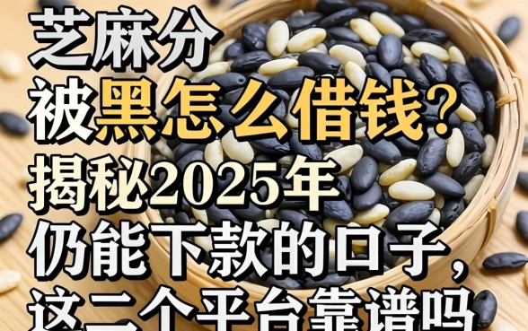 芝麻分被黑怎么借钱?揭秘2025年仍能下款的口子,这几个平台靠谱吗?