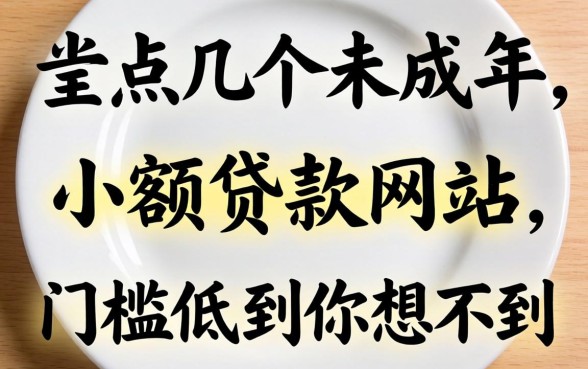 盘点几个未成年小额贷款网站,门槛低到你想不到