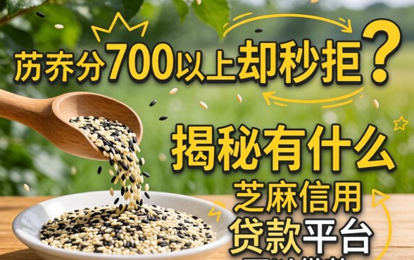 芝麻分700以上却秒拒？揭秘有什么芝麻信用贷款平台可以借款