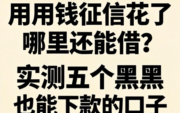 急用钱征信花了哪里还能借？实测五个黑户也能下款的口子分享