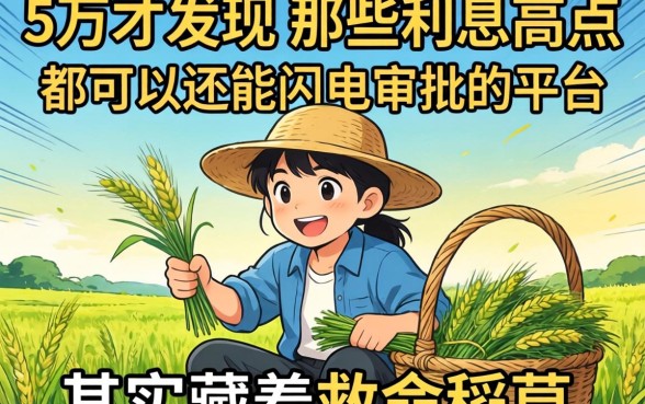 我借了5万才发现,那些利息高点都可以还能闪电审批的平台,其实藏着救命稻草