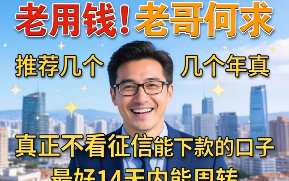 急用钱！老哥们求推荐几个2026年真正不看征信能下款的口子，最好14天内能周转！