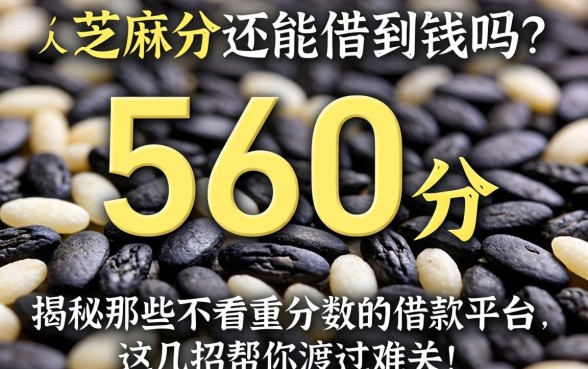芝麻分560分还能借到钱吗？揭秘那些不看重分数的借款平台，这几招帮你渡过难关！