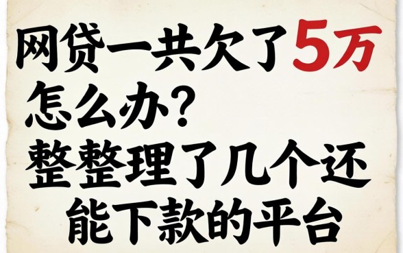 网贷一共欠了5万怎么办?整理了几个还能下款的平台