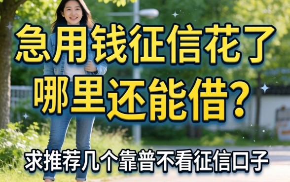 急用钱征信花了哪里还能借？求推荐几个靠谱不看征信的口子！