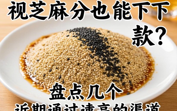 无视芝麻分也能下款？盘点几个近期通过率高的渠道