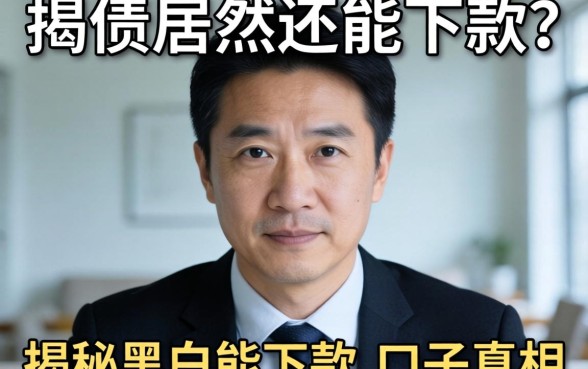 我有呆账居然还能下款？揭秘黑户能下款的口子真相