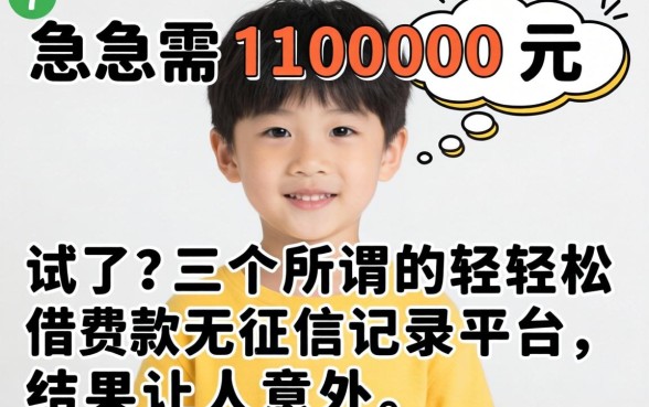 我17岁急需1000元,试了三个所谓的轻松借款无征信记录平台,结果让人意外