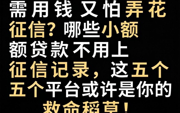 急需用钱又怕弄花征信？哪些小额贷款不用上征信记录，这五个平台或许是你的救命稻草！