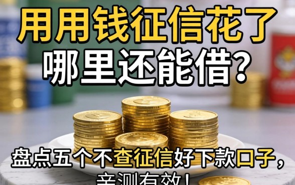 急用钱征信花了哪里还能借？盘点五个不查征信好下款的口子，亲测有效！