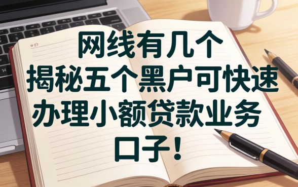 网贷有哪几个，揭秘五个黑户可快速办理小额贷款业务的口子
