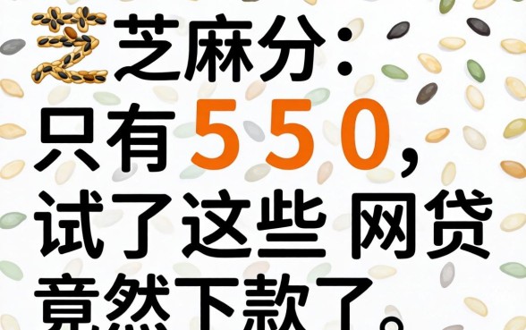 我芝麻分只有550,试了这些网贷竟然下款了