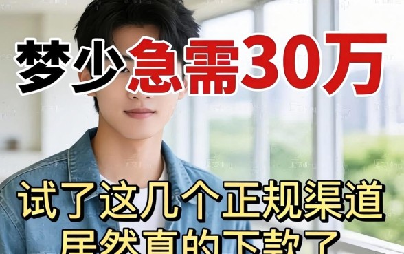 我20岁急需30万，试了这几个正规渠道居然真的下款了