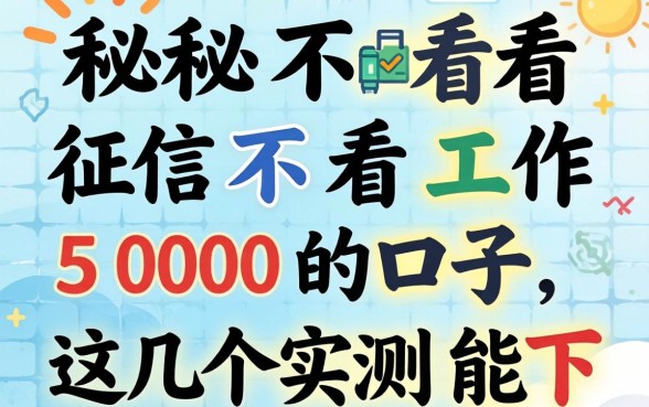 揭秘2026不看征信不看工作5000的口子，这几个实测能下