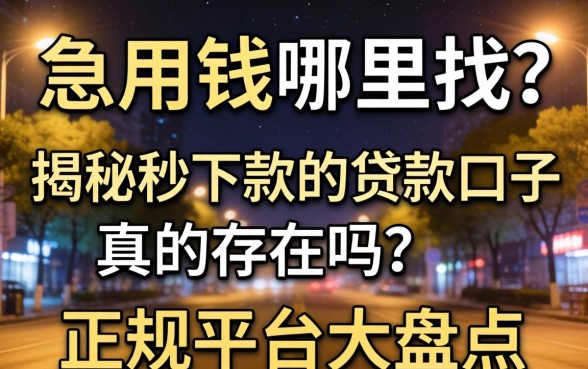深夜急用钱哪里找?揭秘秒下款的贷款口子真的存在吗?正规平台大盘点