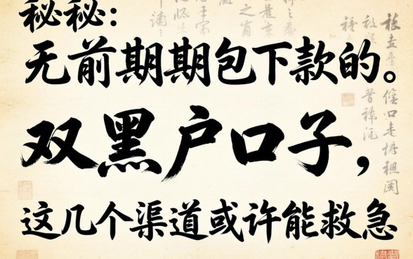 揭秘无前期包下款的双黑户口子，这几个渠道或许能救急