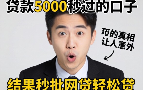 我试了那些宣传贷款5000秒过的口子，结果秒批网贷轻松贷的真相让人意外