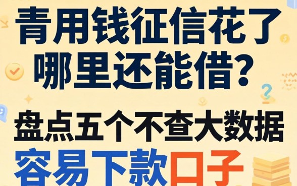 急用钱征信花了哪里还能借？盘点五个不查大数据容易下款的口子