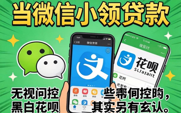 我试了微信小额贷款，发现那些无视风控黑白的花呗其实另有玄机