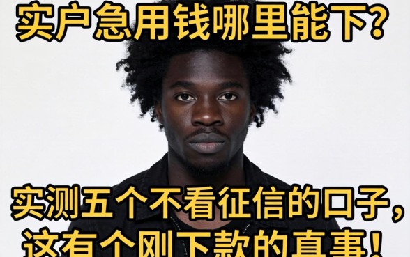 黑户急用钱哪里能下?实测五个不看征信的口子,这有个刚下款的真事!