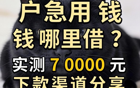 黑户急用钱哪里借？实测7000元下款渠道分享