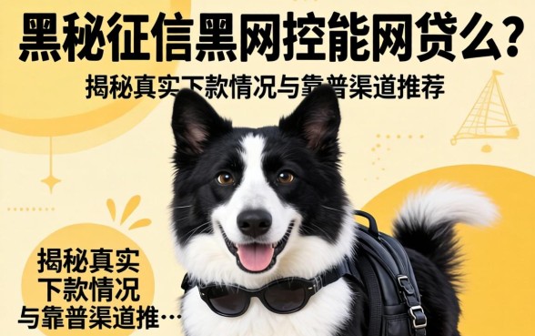 网黑征信黑风控能网贷么?揭秘真实下款情况与靠谱渠道推荐