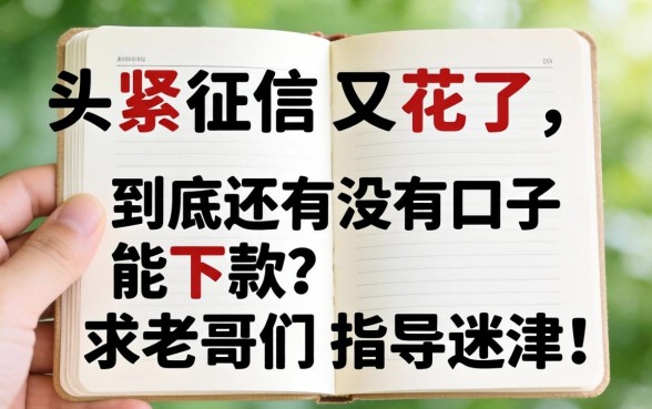 手头紧征信又花了,到底还有没有口子能下款?求老哥们指点迷津!