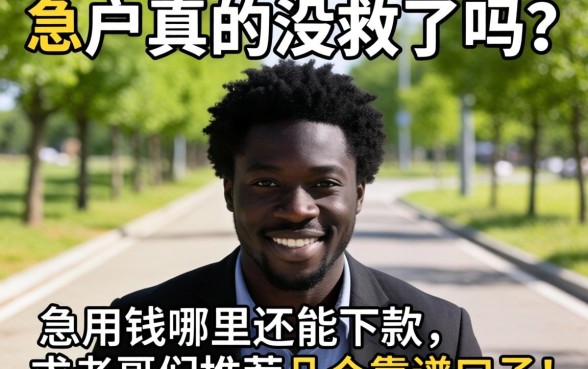 黑户真的没救了吗?急用钱哪里还能下款,求老哥们推荐几个靠谱口子!