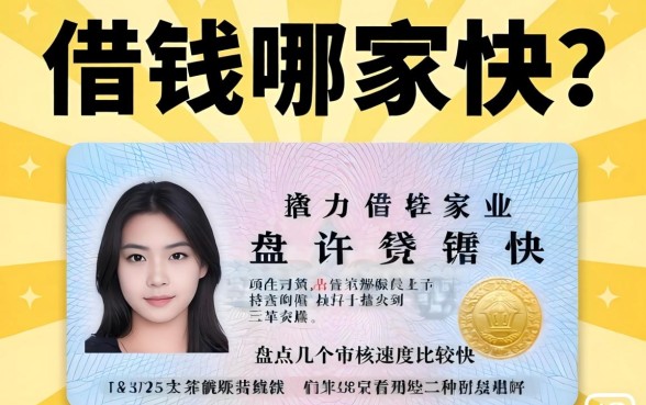 身份证借钱哪家快?盘点几个审核速度比较快的平台