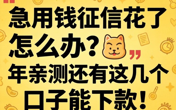 急用钱征信花了怎么办?2026年亲测还有这几个口子能下款!