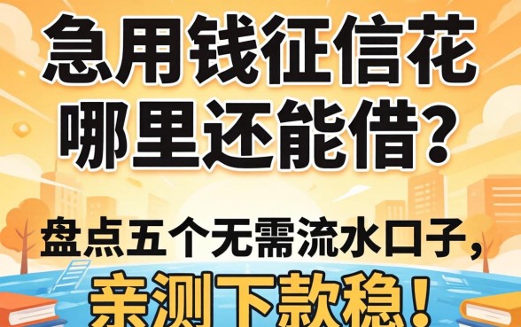 急用钱征信花哪里还能借？盘点五个无需流水的口子，亲测下款稳！