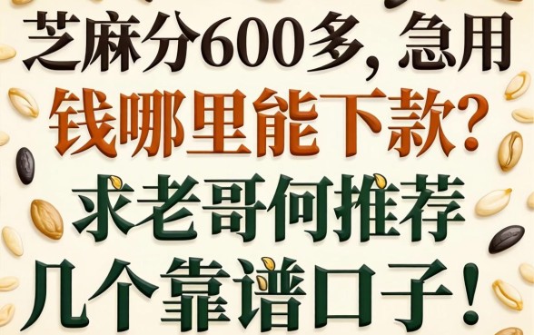 芝麻分600多,急用钱哪里能下款?求老哥们推荐几个靠谱口子!