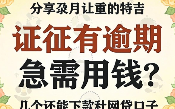 征信有逾期急需用钱?分享几个还能下款的网贷口子