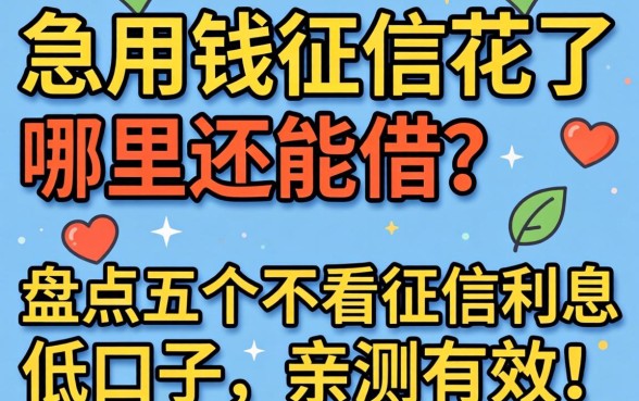 急用钱征信花了哪里还能借？盘点五个不看征信利息低的口子，亲测有效！
